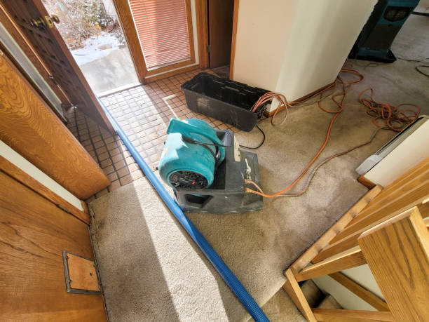 Best Professional water damage repair  in Albemarle, NC