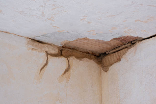Best Fire Damage Restoration  in Albemarle, NC