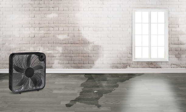 Best Water damage restoration services  in Albemarle, NC