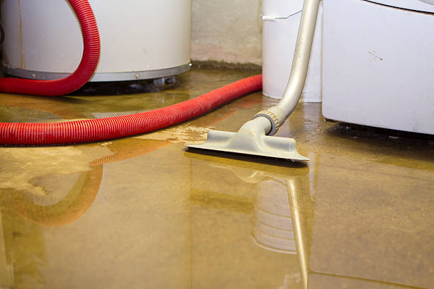 Best Flood restoration services  in Albemarle, NC