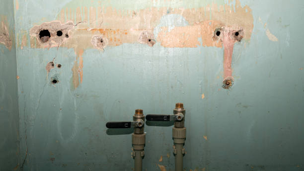 Best Professional water damage repair  in Albemarle, NC