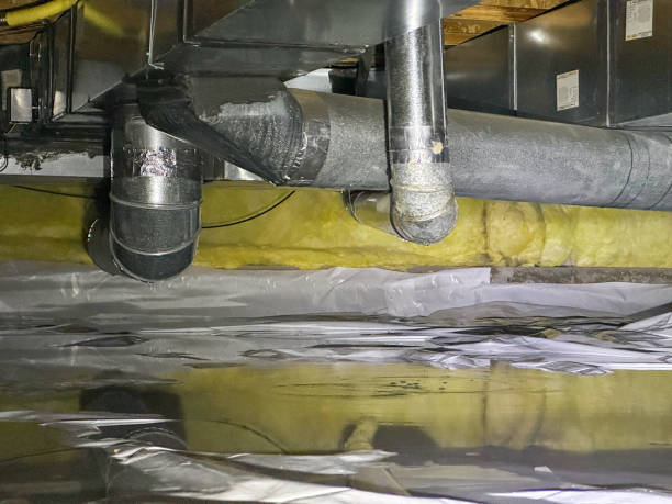 Best Flood damage cleanup  in Albemarle, NC