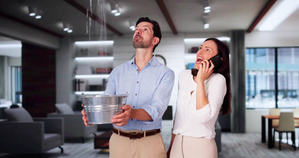 Best Flooded house restoration  in Albemarle, NC