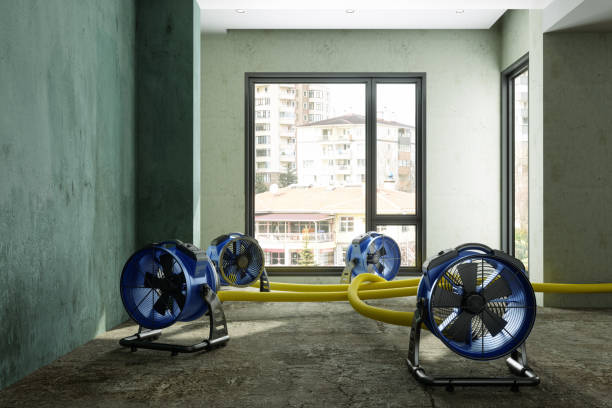 Best Fire Damage Restoration  in Albemarle, NC